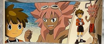 Amazon.co.jp: イナズマイレブン 立向居勇気 綱海条介 キャラポス : ホビー